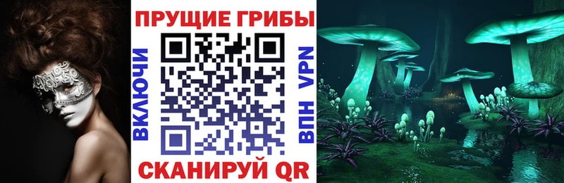 дарк нет наркотические препараты ссылка на мегу сайт Чехов Галлюциногенные грибы Magic Shrooms